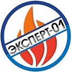 Эксперт-01 — логотип