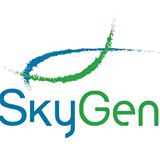 SKYGEN — логотип