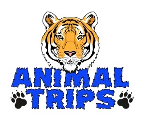 Animal Trips — логотип