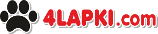 4lapki — логотип