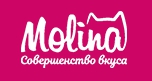 MOLINA — логотип