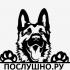 Школа дрессировки собак