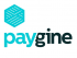 Paygine